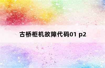 古桥柜机故障代码01 p2